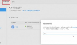 直播testflight 91,直播testflight 91深度解析