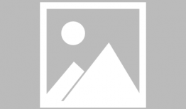 山东老张直播91,揭秘山东方言魅力与网络直播新风尚